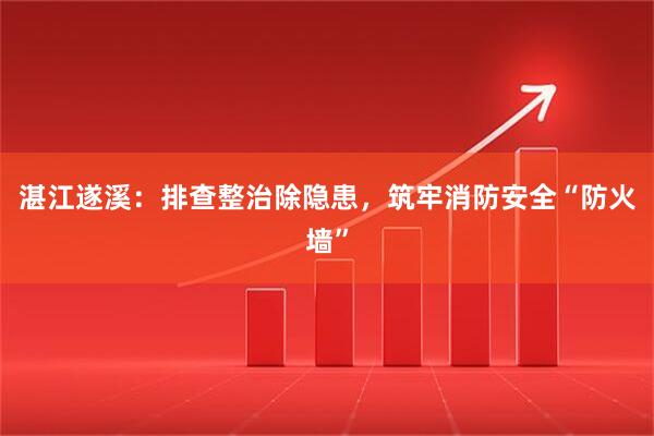 湛江遂溪：排查整治除隐患，筑牢消防安全“防火墙”