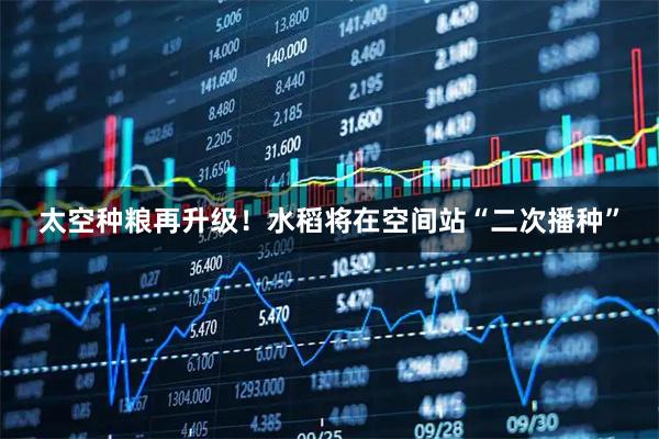 太空种粮再升级！水稻将在空间站“二次播种”